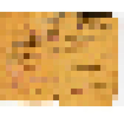 Книжка красноармейская Капустина Д. В