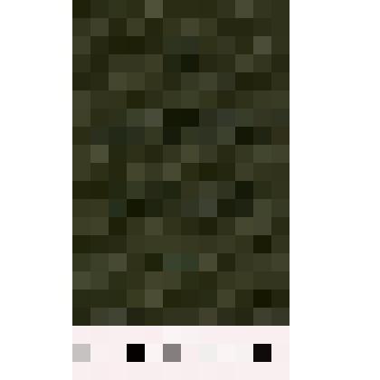 Удостоверение шофера третьего класса Ниметулаевой Фатимэ Сеферовны, Д № 598807. Выдано Алма-Атинской комиссией Госавтоинспекции управления Р.К. Милиции Каз. ССР 19 августа 1943 г