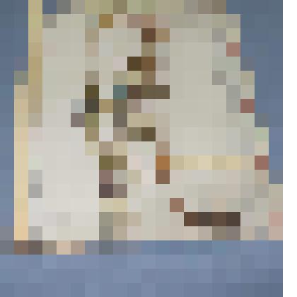 Ботаническая коллекция. Полынь (чернобыльник), на гербарном листе, у озера Баланкуль