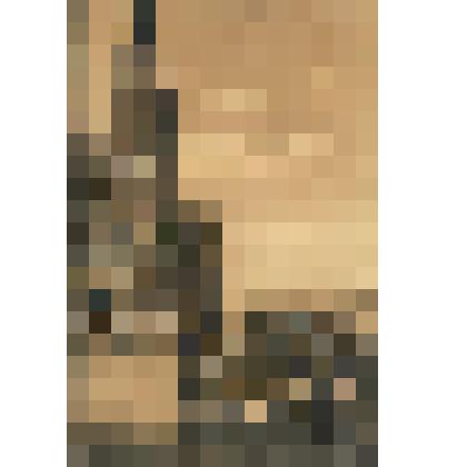 Открытка.Цветочный рынок около Дворца Правосудия