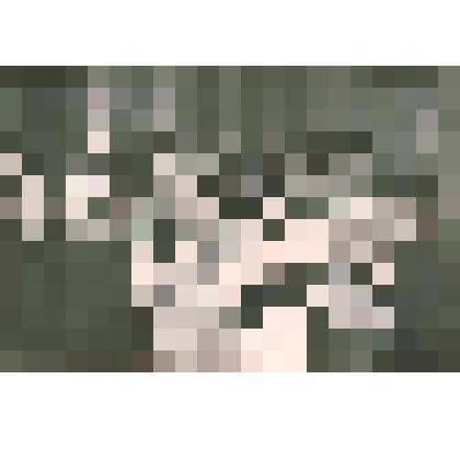 Фотография ч/б "Новогодняя ёлка"