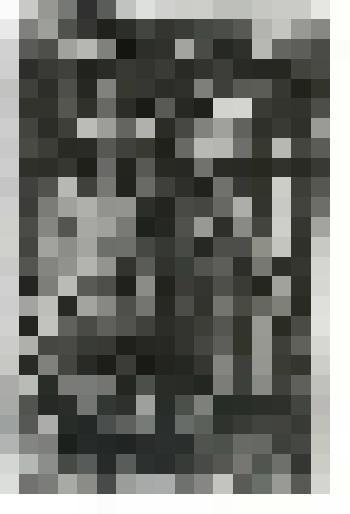 Фотография. А. Эфрон. М. Цветаева. 1924 г. Комплект фотографий с изображением М. Цветаевой, С. Эфрона, А. Эфрон в 1923-1925 гг. в  Чехии. Копия