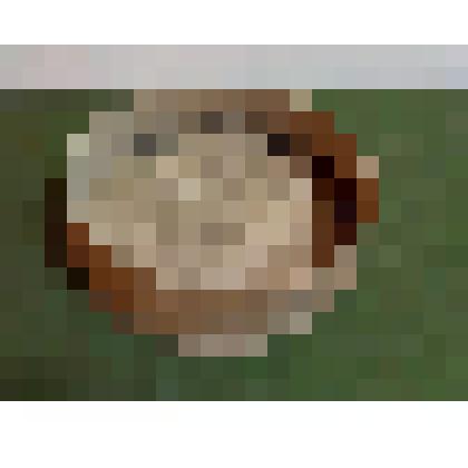 Сито большое