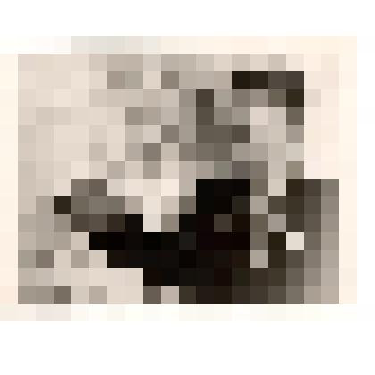 Фотография. Андреев И.К. участник Великой Отечественной войны 1960-е