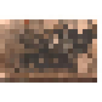 Фотография оркестра деревни Вышгородок