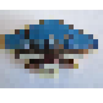 Значок "Литке"