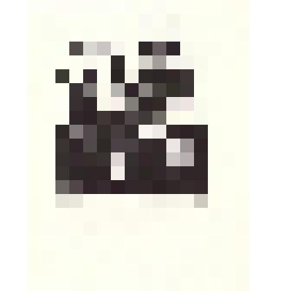 Экслибрис "N.J. BERG"