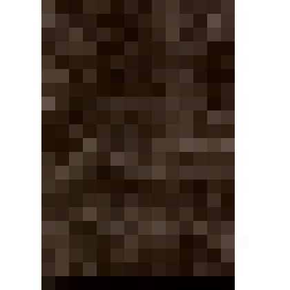 Документ: Записная книжка А.В. Жигулина № 71. Начата 12 июня 1962 г., окончена 4 июля 1962 г. 96 с