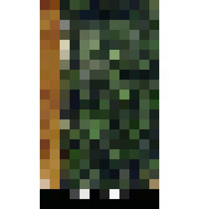 Книга. Erpétologie géneral ou histoire naturelle complète des reptiles