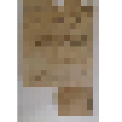 Свидетельство Н. Чечина