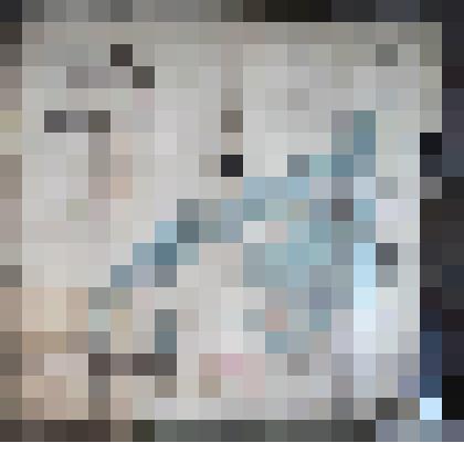 План лъсонасаждений Омско-Королевской запретной казенной лесной дачи Каинскаго лъсничества и уезда Томской губернии. Съемка 1903г