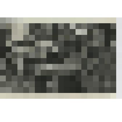 Фото ч/б. Зверства фашистов на Украине. Жители с. Воргол Путивльского р-на Сумской обл. хоронят своих односельчан, расстрелянных фашистами