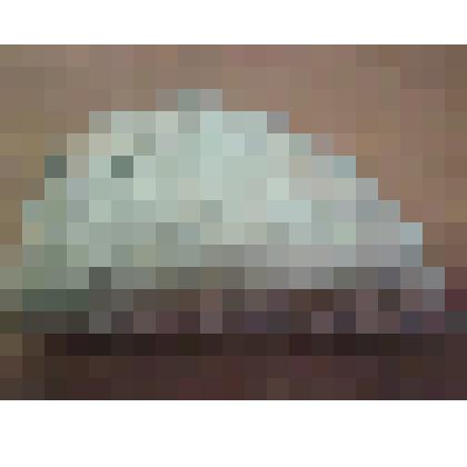 Фрагменты керамики