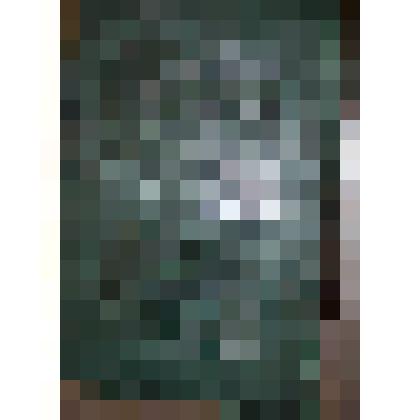 Книга. Книги разрядные. Изданы с высочайшего соизволения 2-м отделением Его Императорского Величества канцелярии. - Том первый. - С.-Петербург, 1853 г