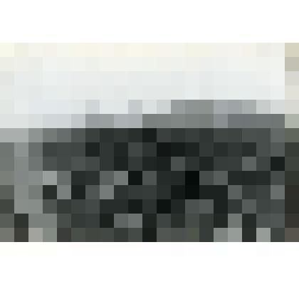 Фотография. Механизированная посадка овощей