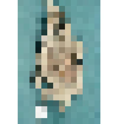 Картуш с клеймом