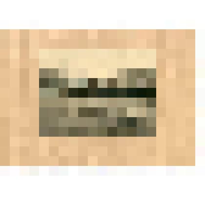 Фотография. Павел Семенович Жуков на симбирской пристани