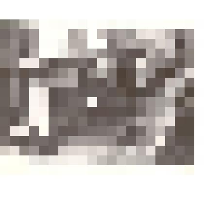 Фотография. Внутренний вид цехов Каменской мебельной фабрики