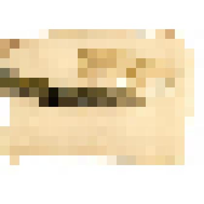 Рисунок. Из серии "Северные цикады". Лист 1