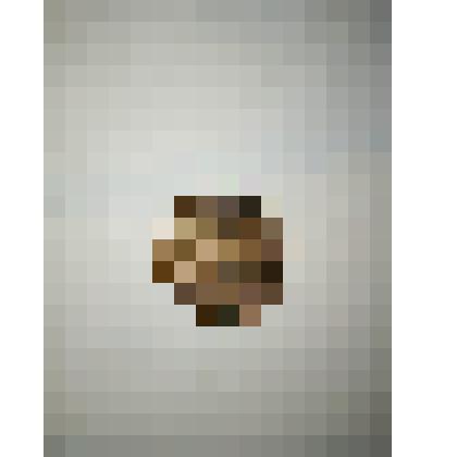 Монета "Копейка" образца 1859 года