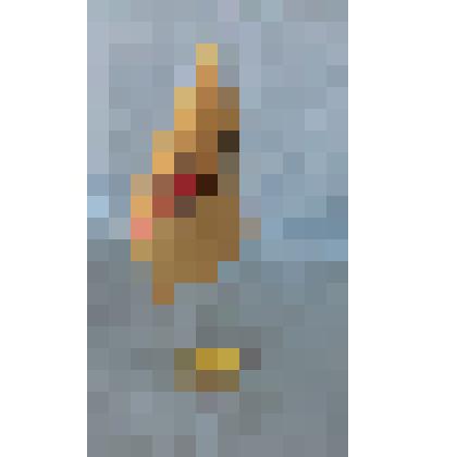 Флажок настольный "ФСБ РФ" Шуева Владимира Алексеевича