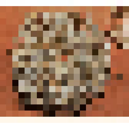 Кружево-образец