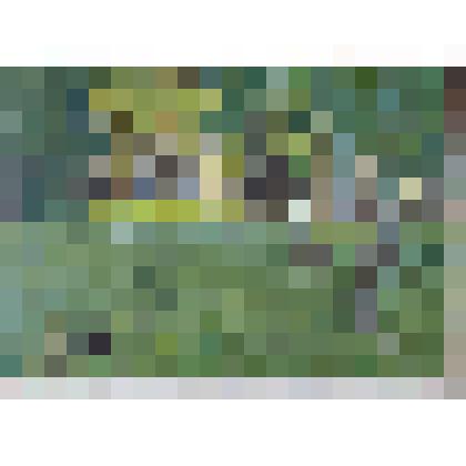 Русские березки