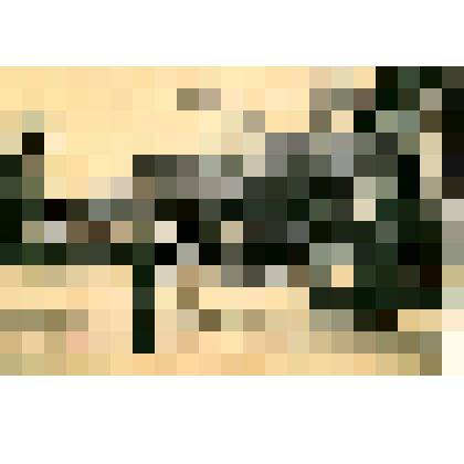 Открытка "Кавказъ. Гагры - набережная"