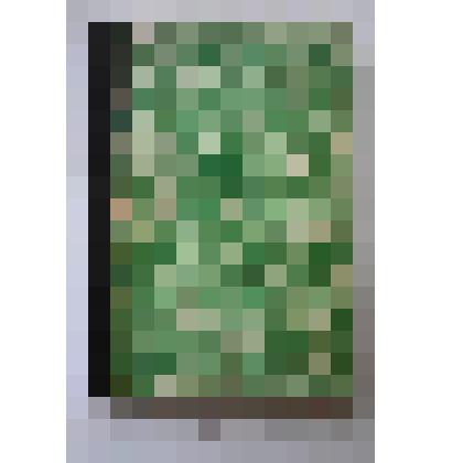 Книга. Программы чтения для самообразования. Типография М.М. Стасюлевича