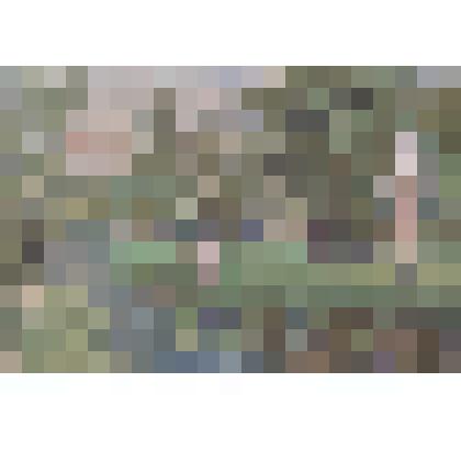 Рисунок
«Любосеевка. Две фигуры»