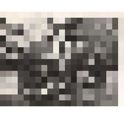 Фотография. Кассиль Л.А., Егоров Б.(космонавт), неизвестный