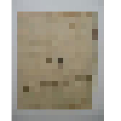 Выпись из метрической книги  за 1887 год рождении и крещении крестьянского сына Василия Иванова Шишкина