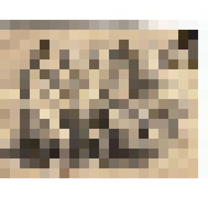 Ф/чб. Ветераны 654-го СП 148-й СД. 1: Рудченко А.И., Перзашкевич С.Г., Фирсов Н.И., Зенцов А.П., Мачуговский Г.Е., Саломатин П.А., Панфилов П.Н., Леонов, Кузнецов П.И. , Пит В.И. 2- Казаченко В.Н., 6- Москалев М.М. и др. Чехословакия. Май 1945