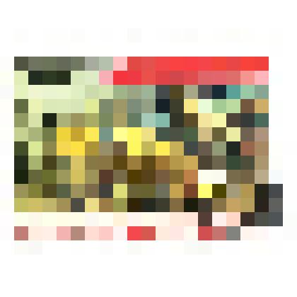 Марка почтовая СССР «Сыктывкарский лесопромышленный комплекс работает и строится»