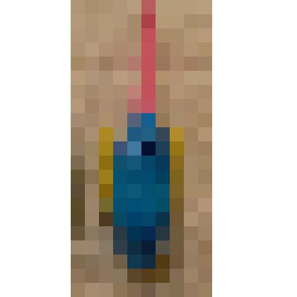 Киндер-сюрприз