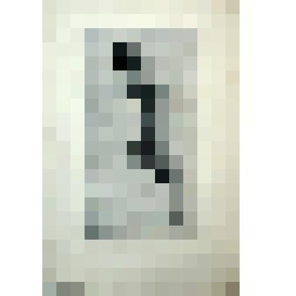 "Женская обнажённая фигура". Гравюра