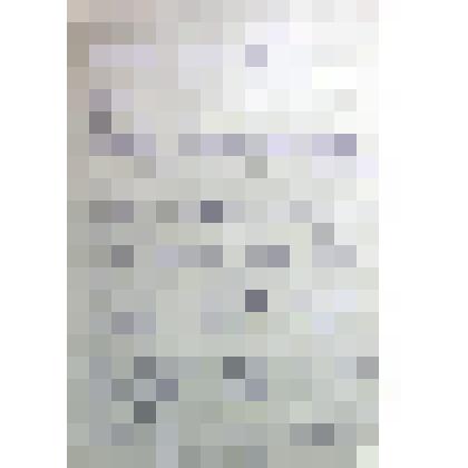 Биографическая справка о Левкине Михаиле Тимофеевиче