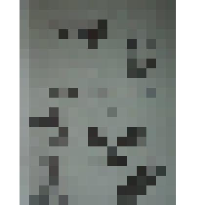 Брошюра "Травы луговые"