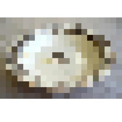 Тарелка столовая глубокая