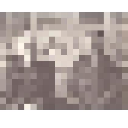 Фотография. Величутин Василий Елизарович с Поповым Б.У. в музее