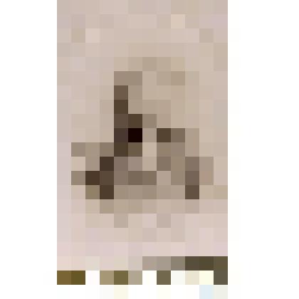 Фотография черно-белая. Яроцкий Богдан Иванович