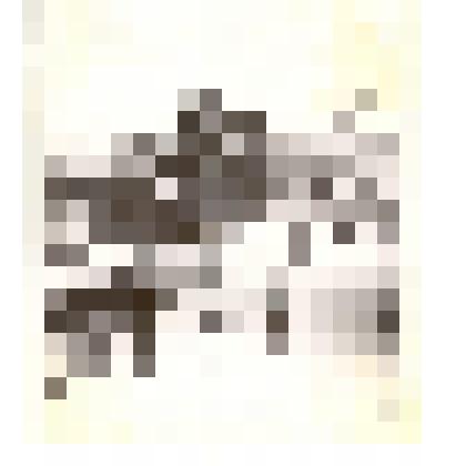 Фотография: первый эшелон с пшеницей из г.Камень-на-Оби в г.Ленинград