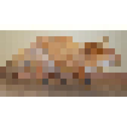 Чучело лисы