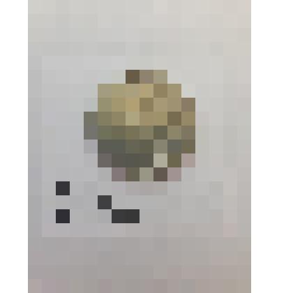 Монета 2 рубля 1997 год. Россия