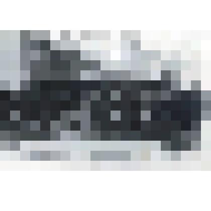 Фото "ХII Архангельский Губернский съезд Советов."