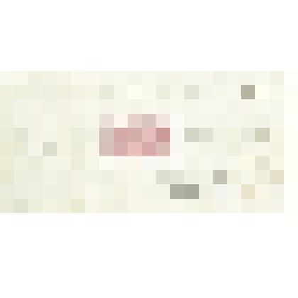 Письмо неустановленного лица Н. М. Мартьянову     с     просьбой     повесить объявление о лекции на дверях музея