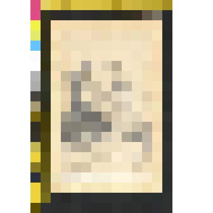 Портрет Л.Н. Толстого в 1906 г