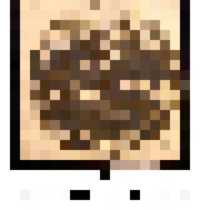 Печать, для пакетов Подольского Губернского Управления. Губернский город Каменец, Подольской губернии