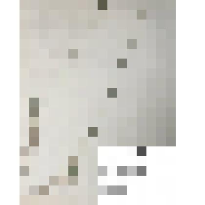 Гербарий
Пырей гребенчатый