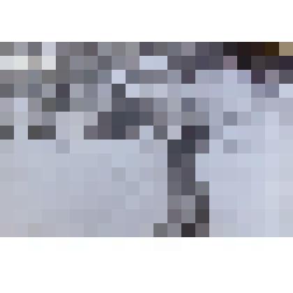 Фотография. Дети  на площадке